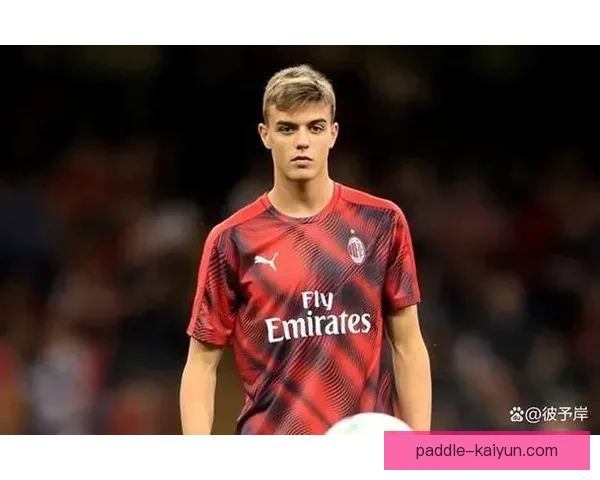 马尔蒂尼技术演变